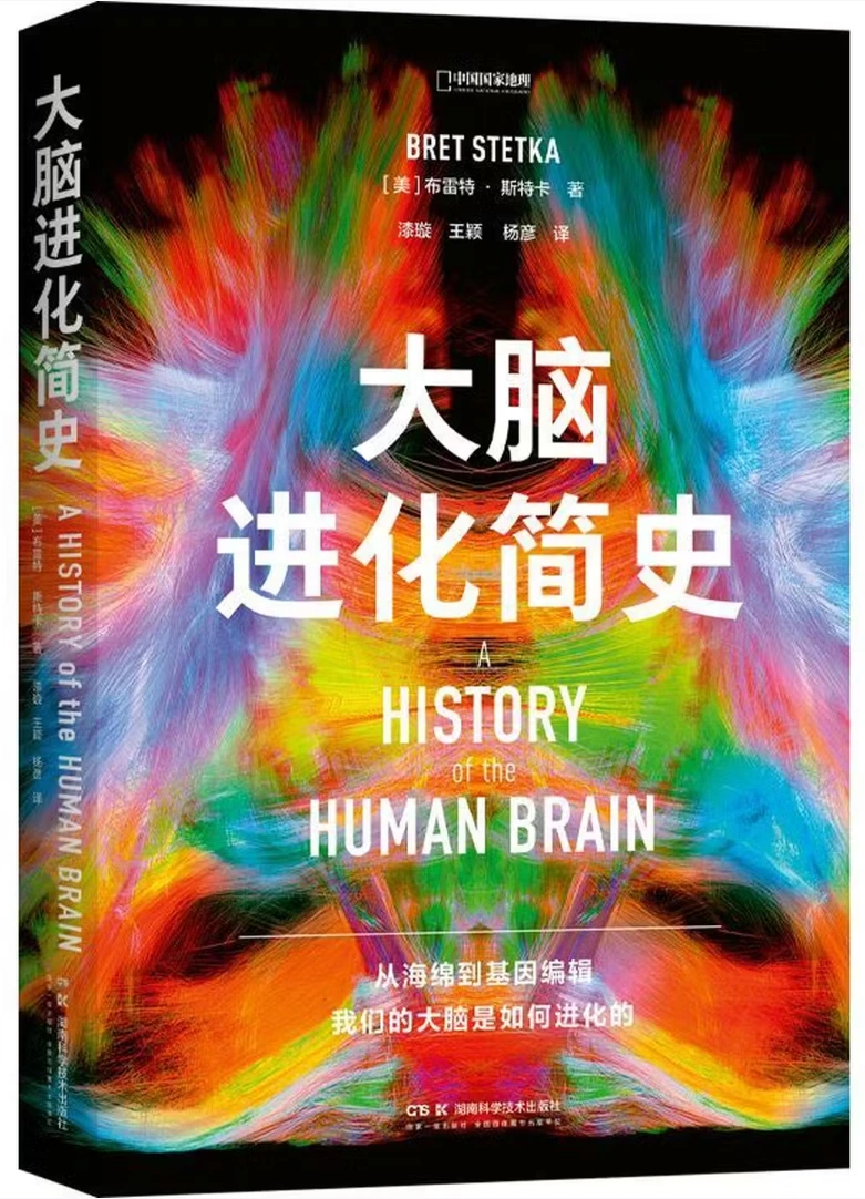 大脑进化简史