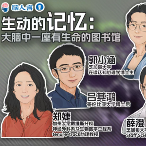 EP9. 生动的记忆：大脑中一座有生命的图书馆