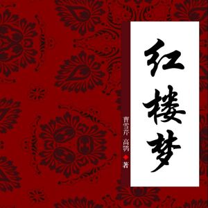 第八回 贾宝玉奇缘识金锁 薛宝钗巧合认通灵