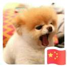 老刘同学lltx
