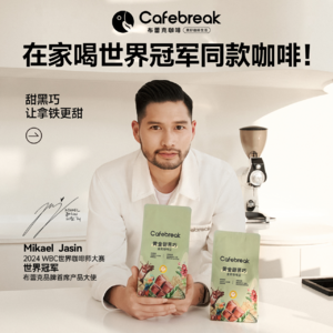 布蕾克｜比亚迪欧洲销量反超特斯拉，关税冲击下 BYD 如何破局？
