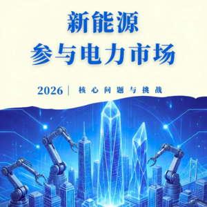新能源崛起带来的电力市场变革！