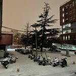 冬雪005