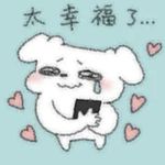 19.我发现：高密度的生活，会提升人的幸福感。