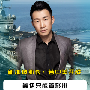 霍尔木兹上演"反杀"，新加坡外长：若中美开战，美伊只能算彩排