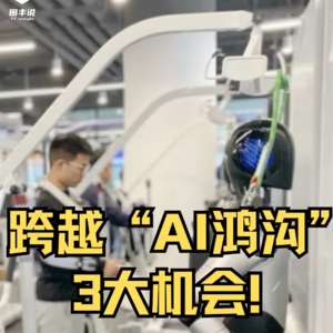 第453集 跨越“AI鸿沟”3大机会！