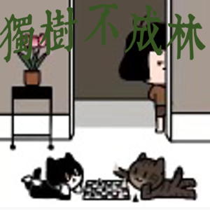 295-美国退群之后西方联盟的其他国家要咋办？