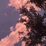 放个假好吧