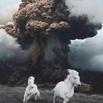 新佑未名