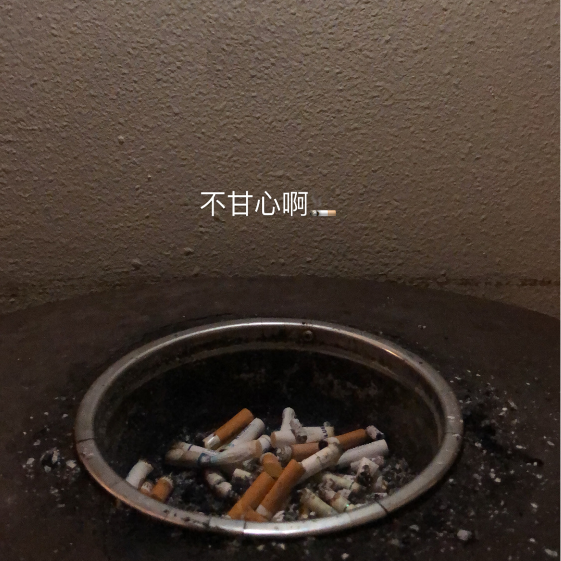 聊鞋什么之马尼拉Day4:“是有点搞笑，但是你要服从！” episode artwork