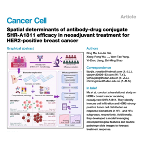 154-Spatial biomarkers of SHR-A1811 response