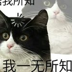 无糖白面馒头邪笑