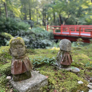 28 - 去日本寺院养老 | 网红·李 #3