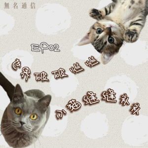 EP02 世界破破烂烂，小猫缝缝补补
