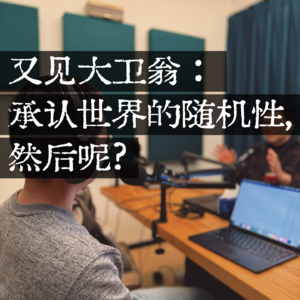 140 又见大卫翁：承认世界的随机性，然后呢？