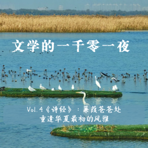 Vol 4.《诗经》：蒹葭苍苍处，重逢华夏最初的风雅