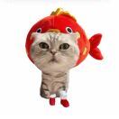 咔咔不是咔咔咪