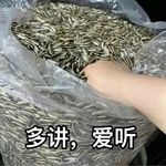 许星苑