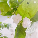 不sunny也是好天气