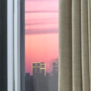 Vol.099 全面读懂回避型依恋人格（下篇）：那些冷漠、疏离与难以承受的爱​