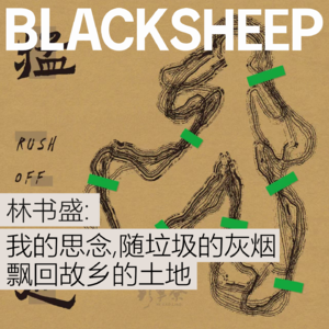 SIE8.野草寮主唱林书盛 | 说起方言，世界都变慢了