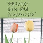 乐多_afYU