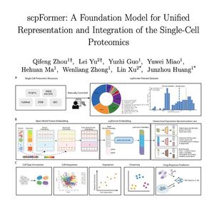 1022-scpFormer：单细胞蛋白质组学通用基础模型