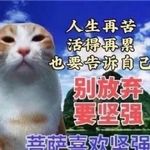 顿悟了