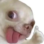 雀却