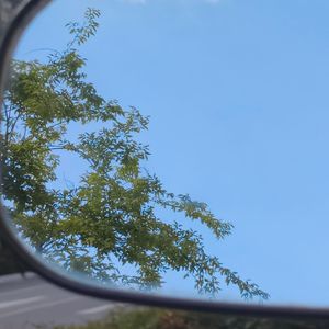 podcaster-avatar