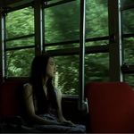 浪漫主义的夜晚