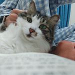 一小段失去功能的神经元