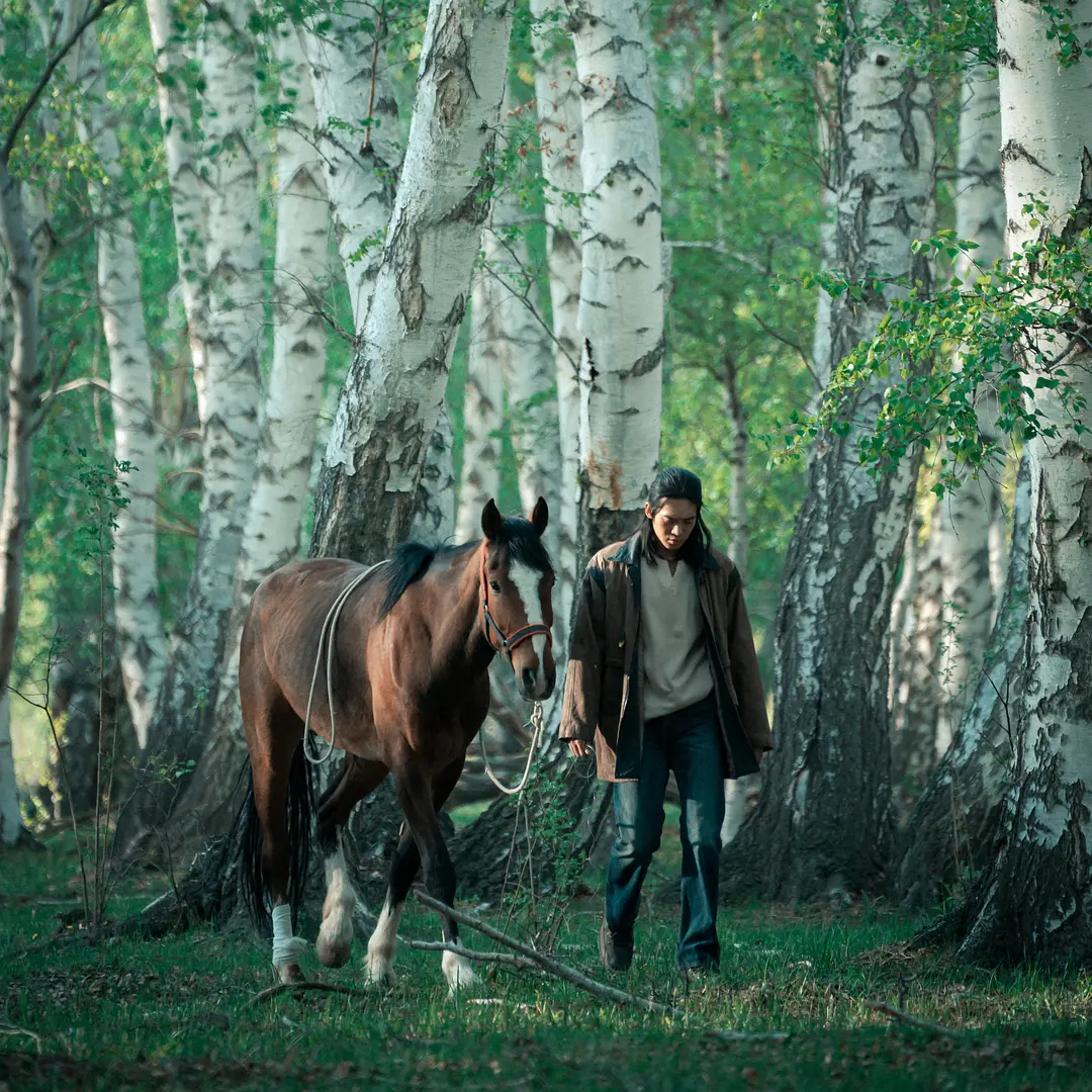 03《我的阿勒泰》｜人的困境来自于有，而不是无 episode artwork