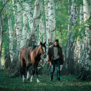 03《我的阿勒泰》｜人的困境来自于有，而不是无