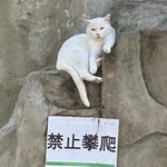 请给我勇气力量