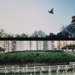 EP10.卢广仲和陶喆的歌