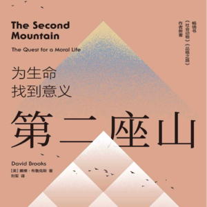 走出低谷攀登第二座山