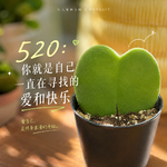 88 520特辑：你就是自己一直在寻找的爱和快乐