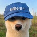 币圈小安子