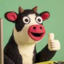 富强烛业Krystal段