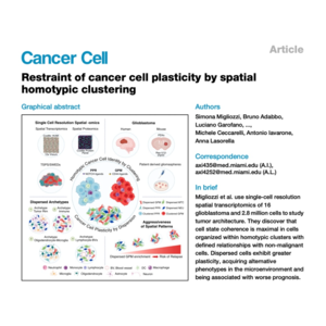 199-Restraint of Cancer Plasticity by Spatial Clustering