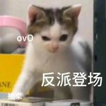 179.人人喊打的回避型，是亲密关系里的大反派吗？