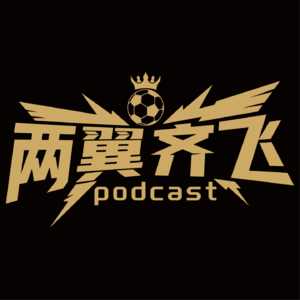 50.《两翼齐飞》马年足球闲谈