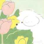 Layla幸运啦
