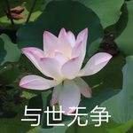 A瑞瑞大王