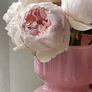 039｜和微焦虑待一会儿，再往前走两步