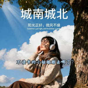 城南城北：NO.260013《不读书的小姑娘都去哪了？》来自普通父母的安全