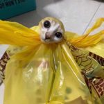 牛寺月中冫水