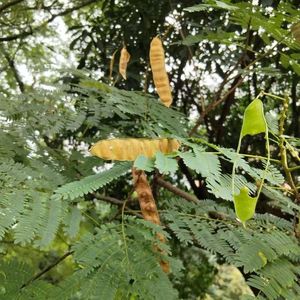 和女朋友们聊天