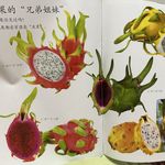 一棵绿色火龙果